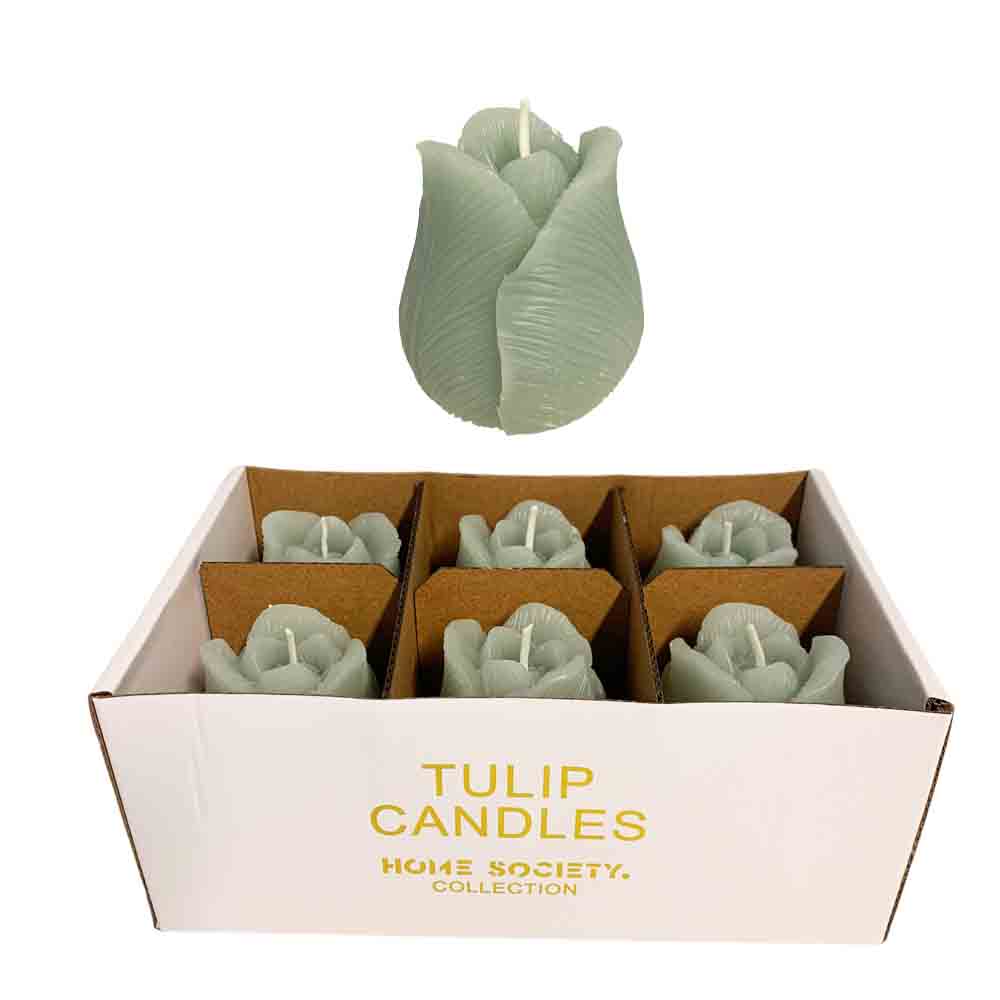Deco Kaars Tulip celadon