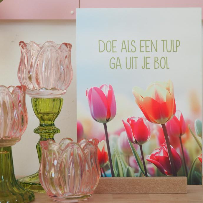 Waxinelichtje tulp roze