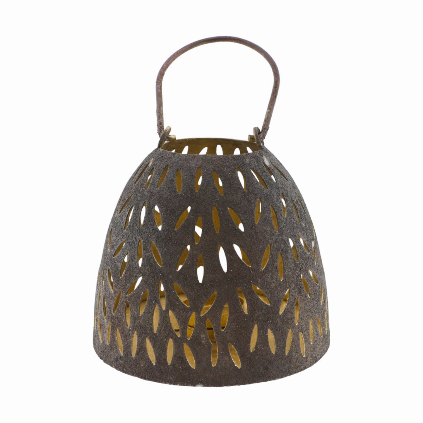 Home society Lantaarn Dotty L bruin