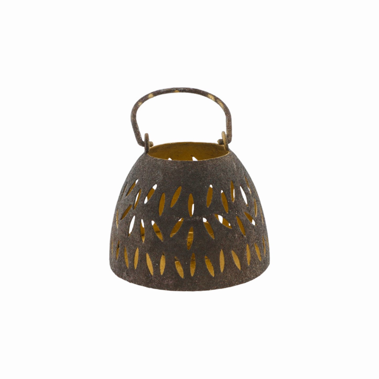 Home society Lantaarn Dotty S bruin
