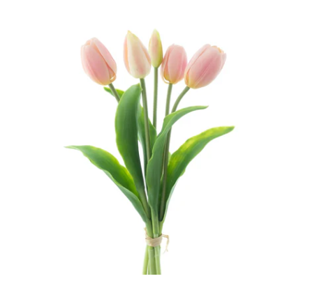 RealTouchHollandTulipbundleSallyX5pink36cm__1