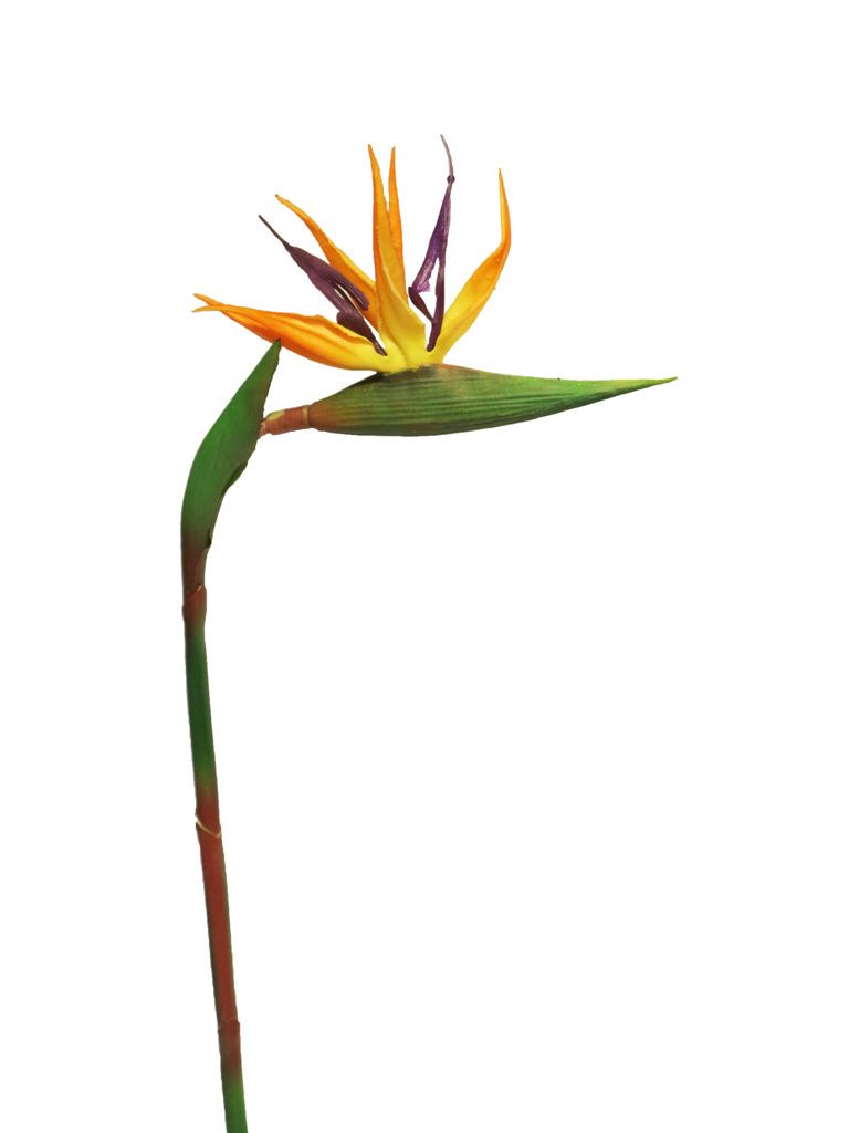 Strelitzia real touch Cathy orange 58cm
