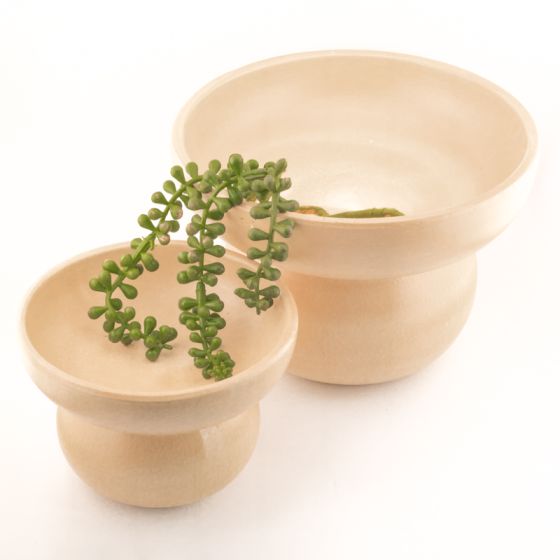 AardewerketagierebubbleS__2