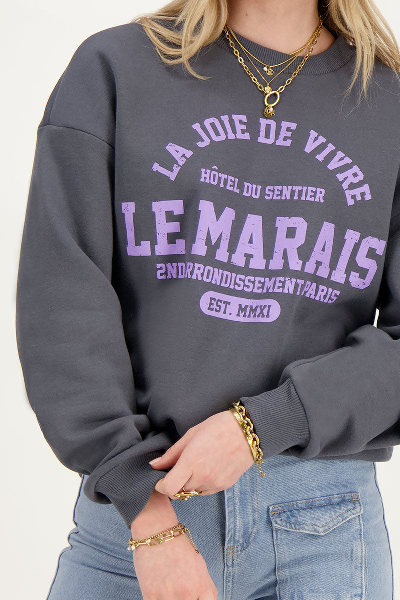 Donkergrijze sweater la joi