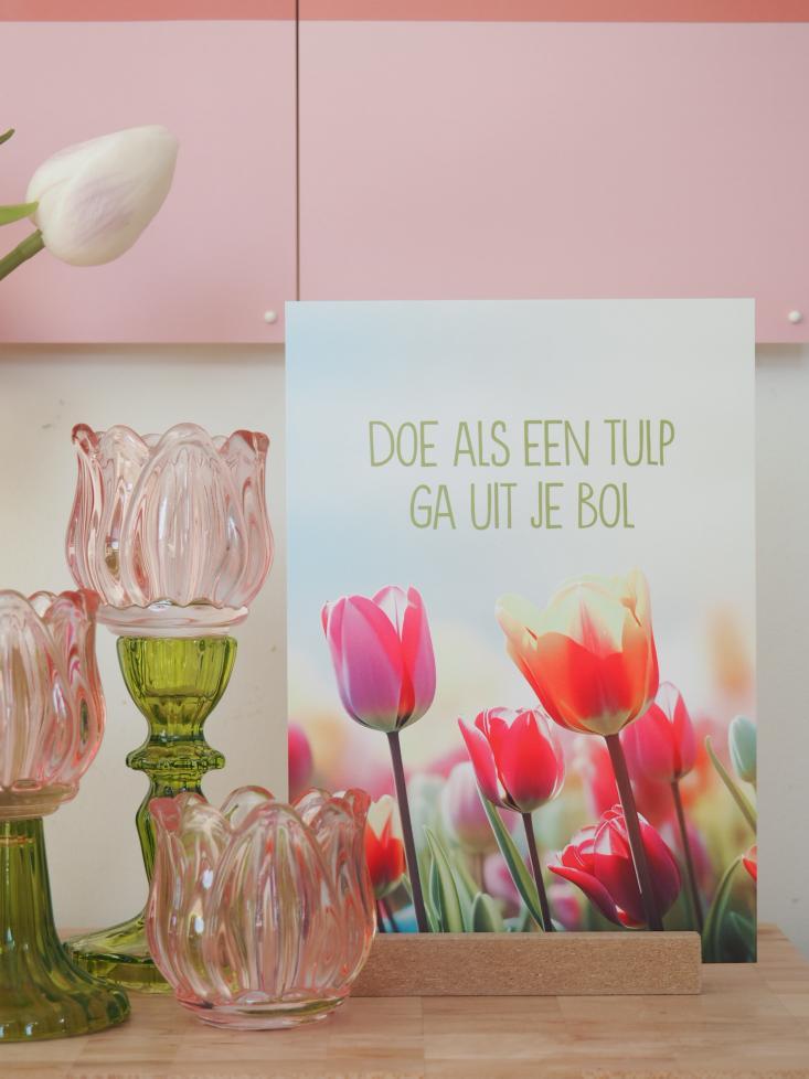 Waxinelichtje tulp roze