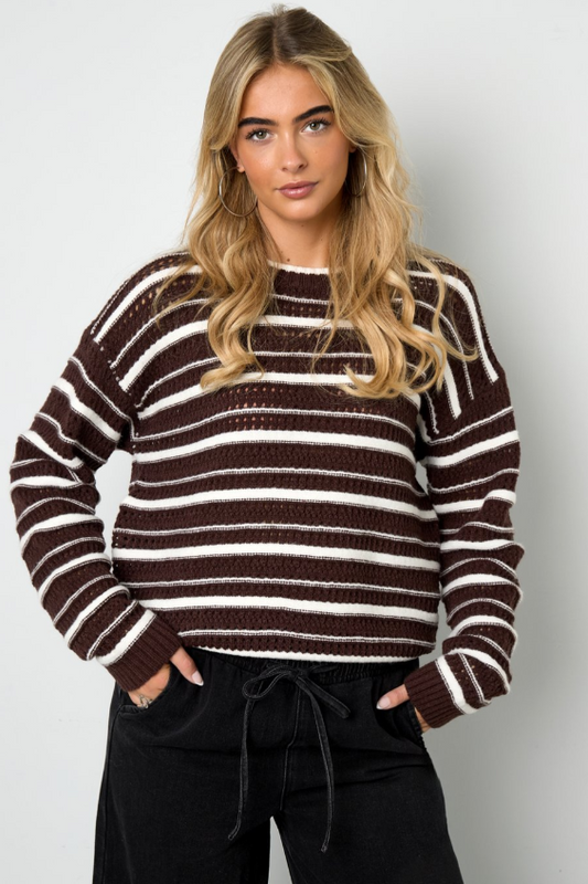 It-sweater with stripes Bruin