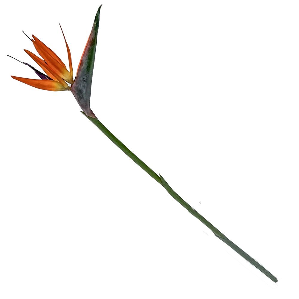 Kunstbloem Strelitzia 85cm oranje