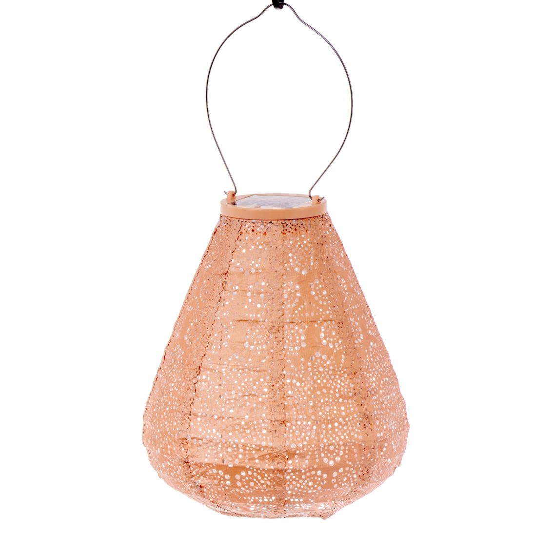 Nr85Tulipfioreapricot__1