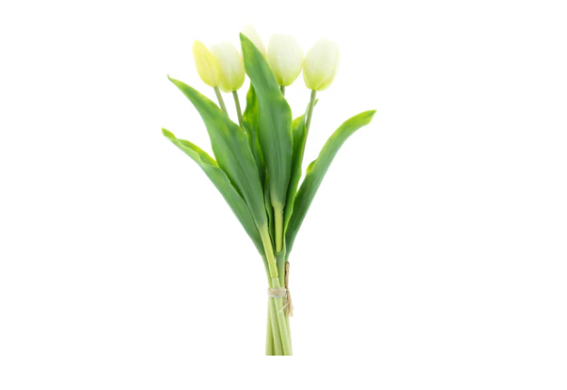 RealTouchHollandTulipbundleSallyX5cream36cm__1