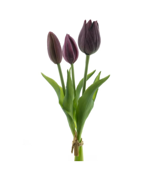 RealTouchHollandTulipbundleSallyx3aubergine25cm__1