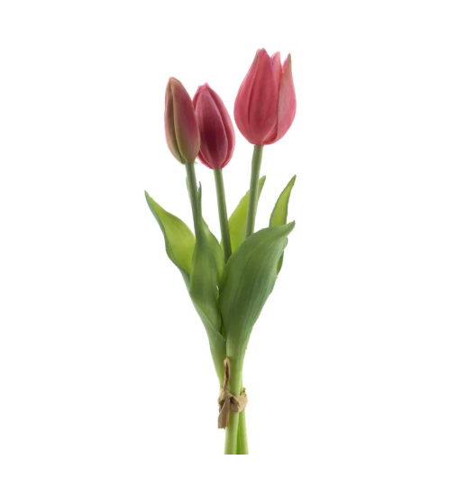 RealTouchHollandTulipbundleSallyx3beauty25cm__1