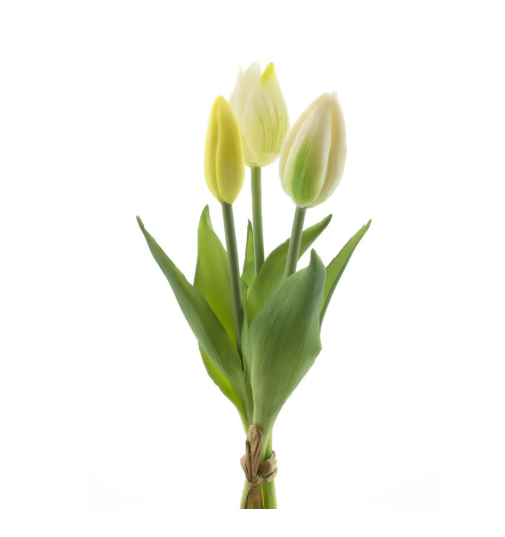 RealTouchHollandTulipbundleSallyx3cream25cm__1