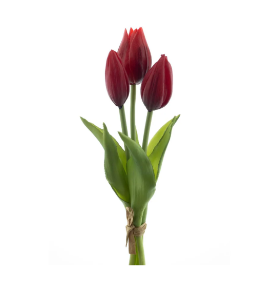 RealTouchHollandTulipbundleSallyx3red25cm__1