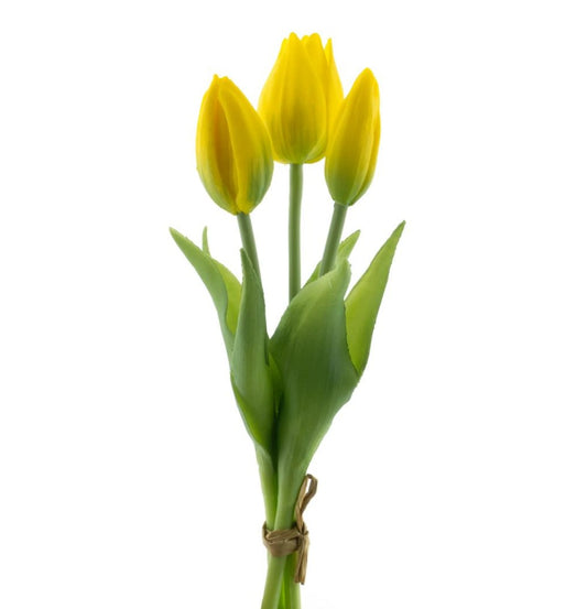 RealTouchHollandTulipbundleSallyx3yellow25cm__1