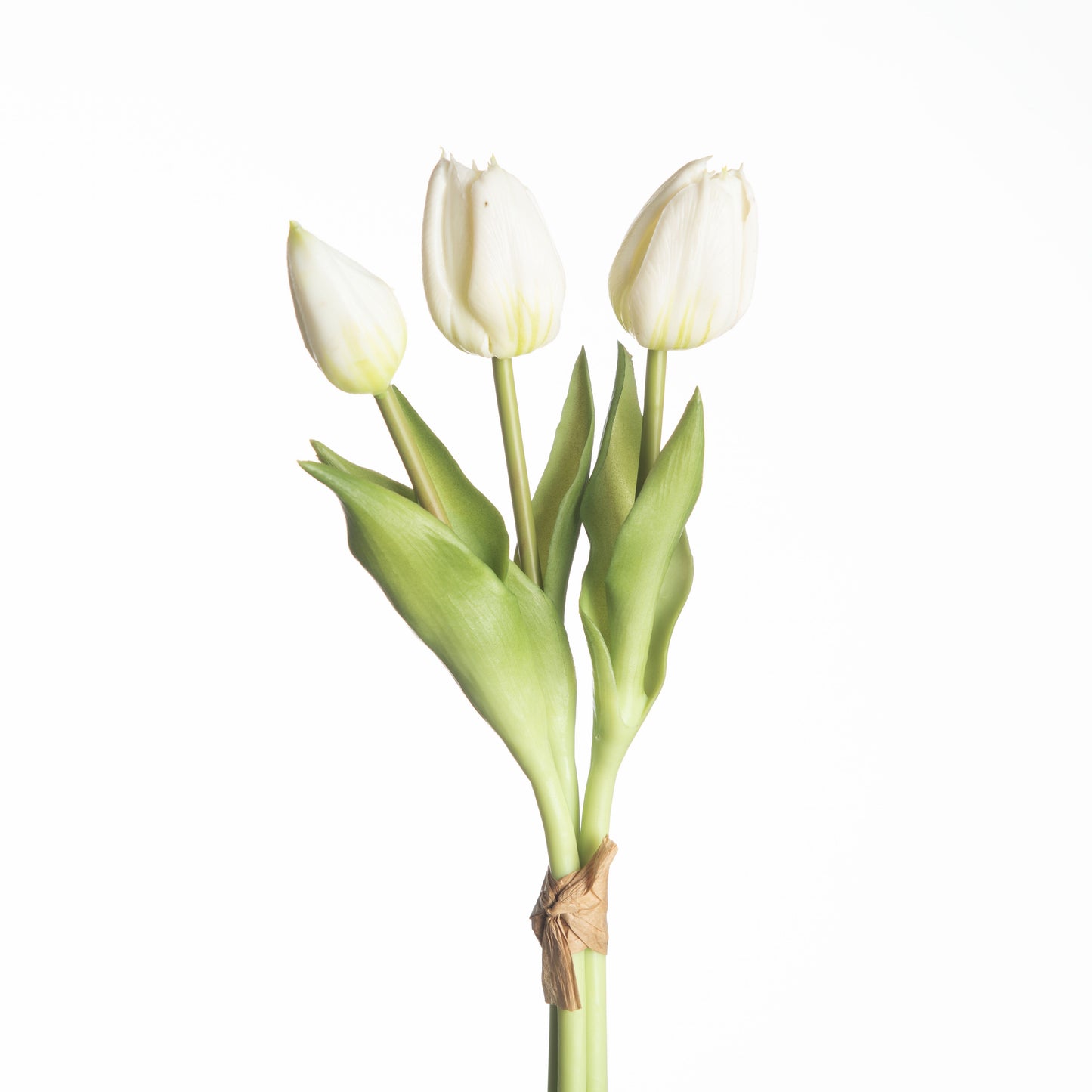 Tulip Bundle x3 L30cm White