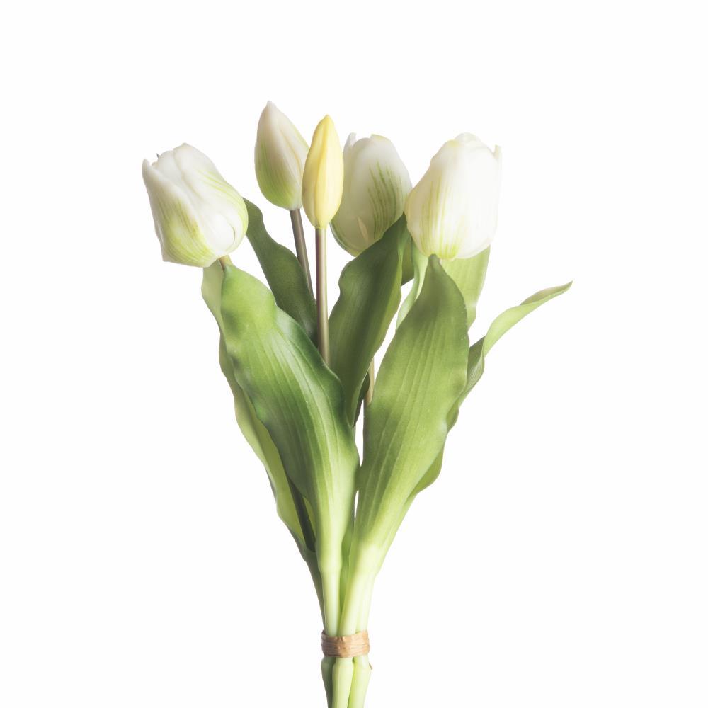 Tulip Bundle x5 L31cm White