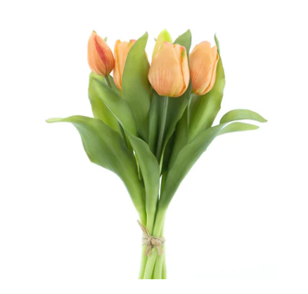 RealTouchVermeertulipbundleSallyX7pieachcombo31cm__1