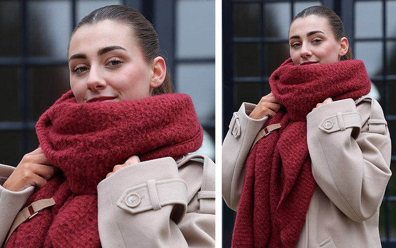 Saalbachsjaalbordeaux__3