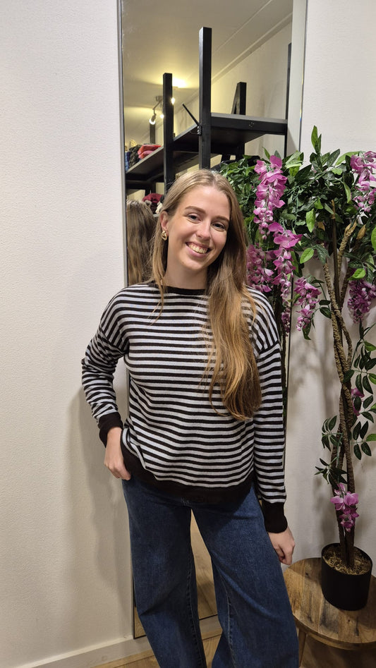 TbDtruitjestreepBruin_jeans__1