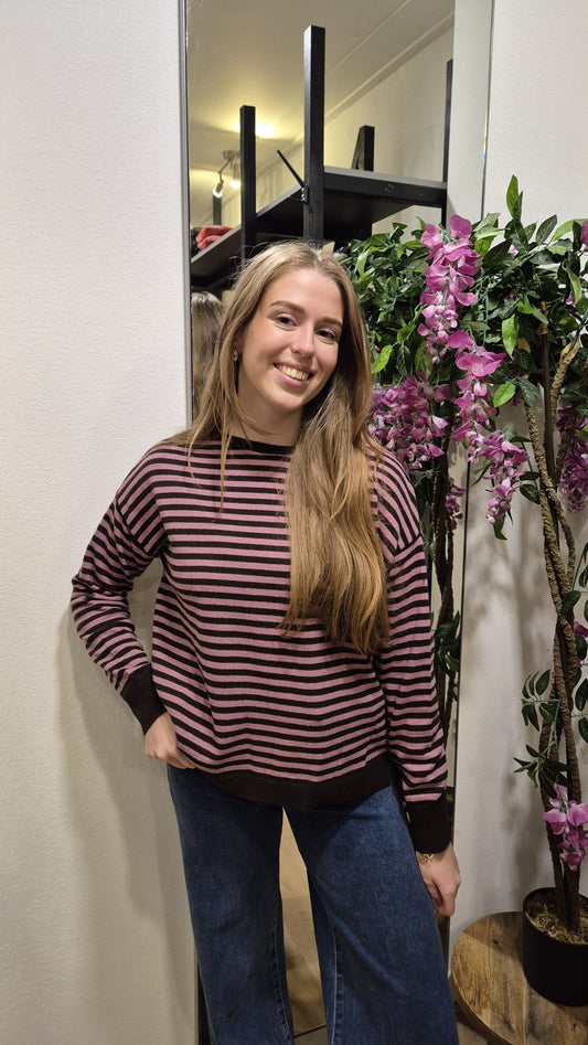 TbDtruitjestreepBruin_roze__1