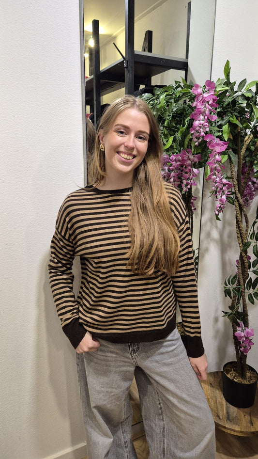 TbDtruitjestreepCamel_bruin__1