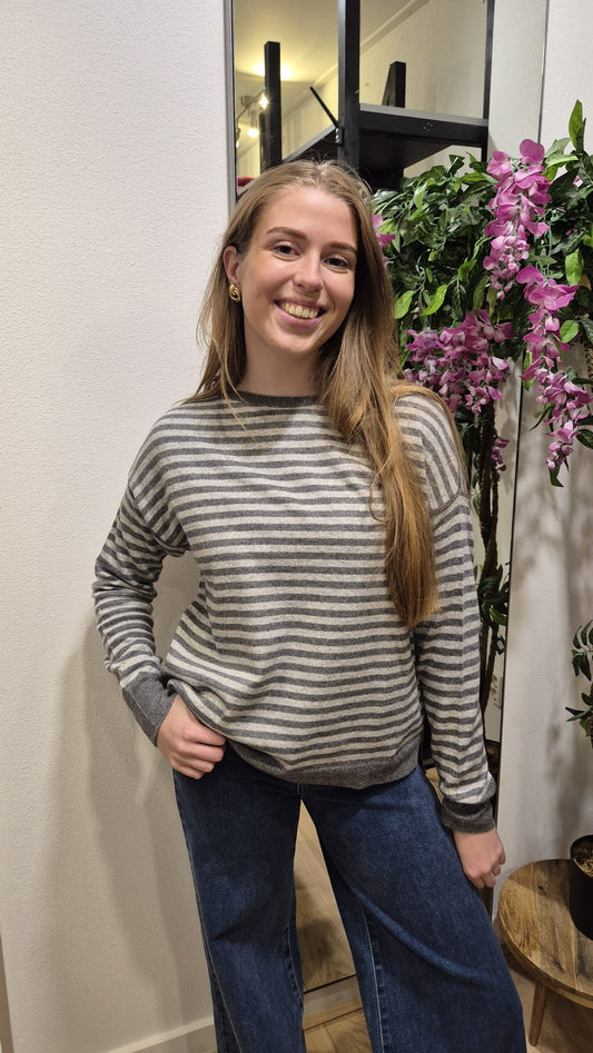 TbDtruitjestreepGrijs__1