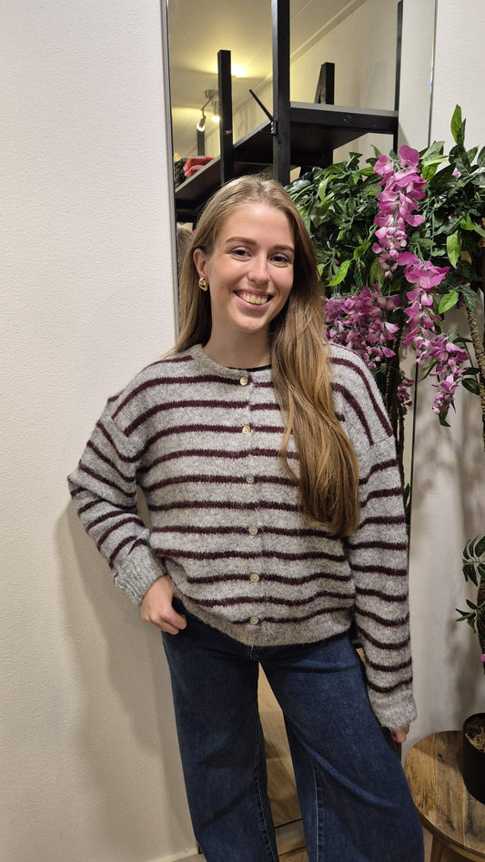 TbDveststreepBordeaux_grijs__1