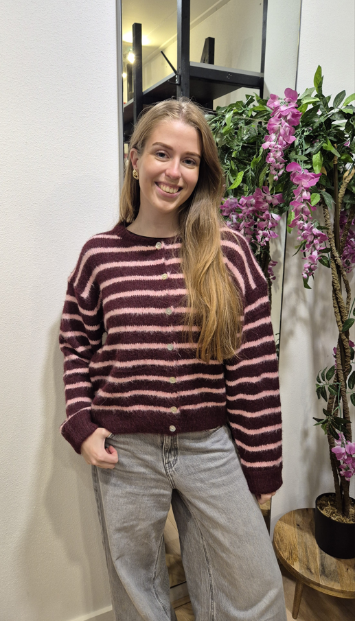 TbDveststreepBordeaux_roze__1