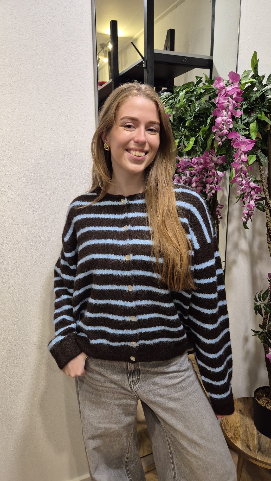 TbDveststreepBruin_lichtblauw__1