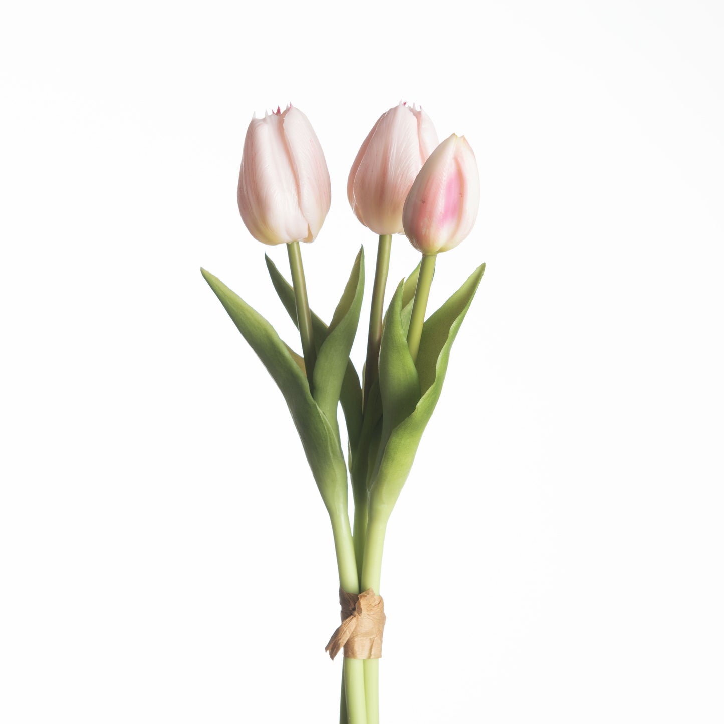 Tulip Bundle x3 L30cm L.Pink