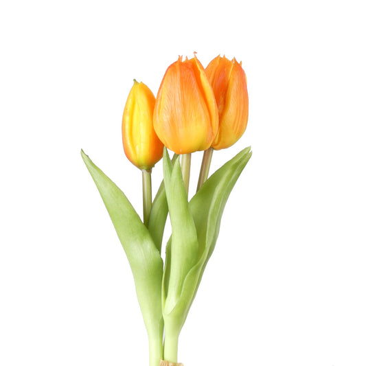 Tulip Bundle x3 L30cm Orange