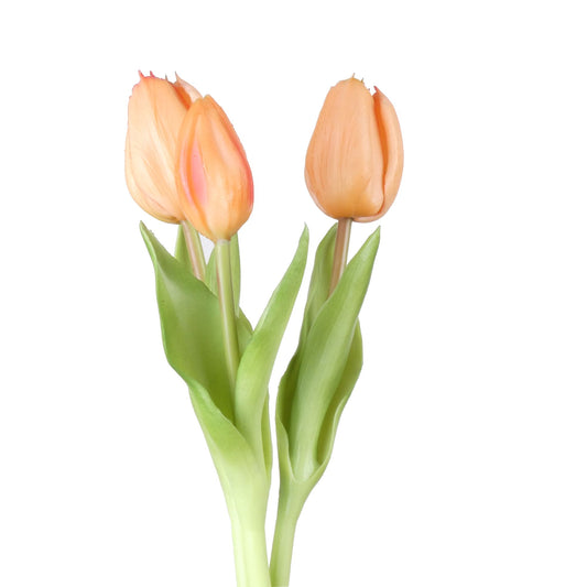 Tulip Bundle x3 L30cm Peach