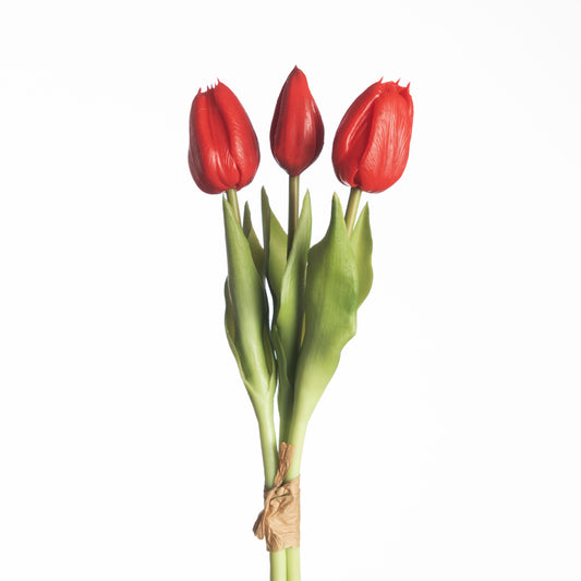 Tulip Bundle x3 L30cm Red