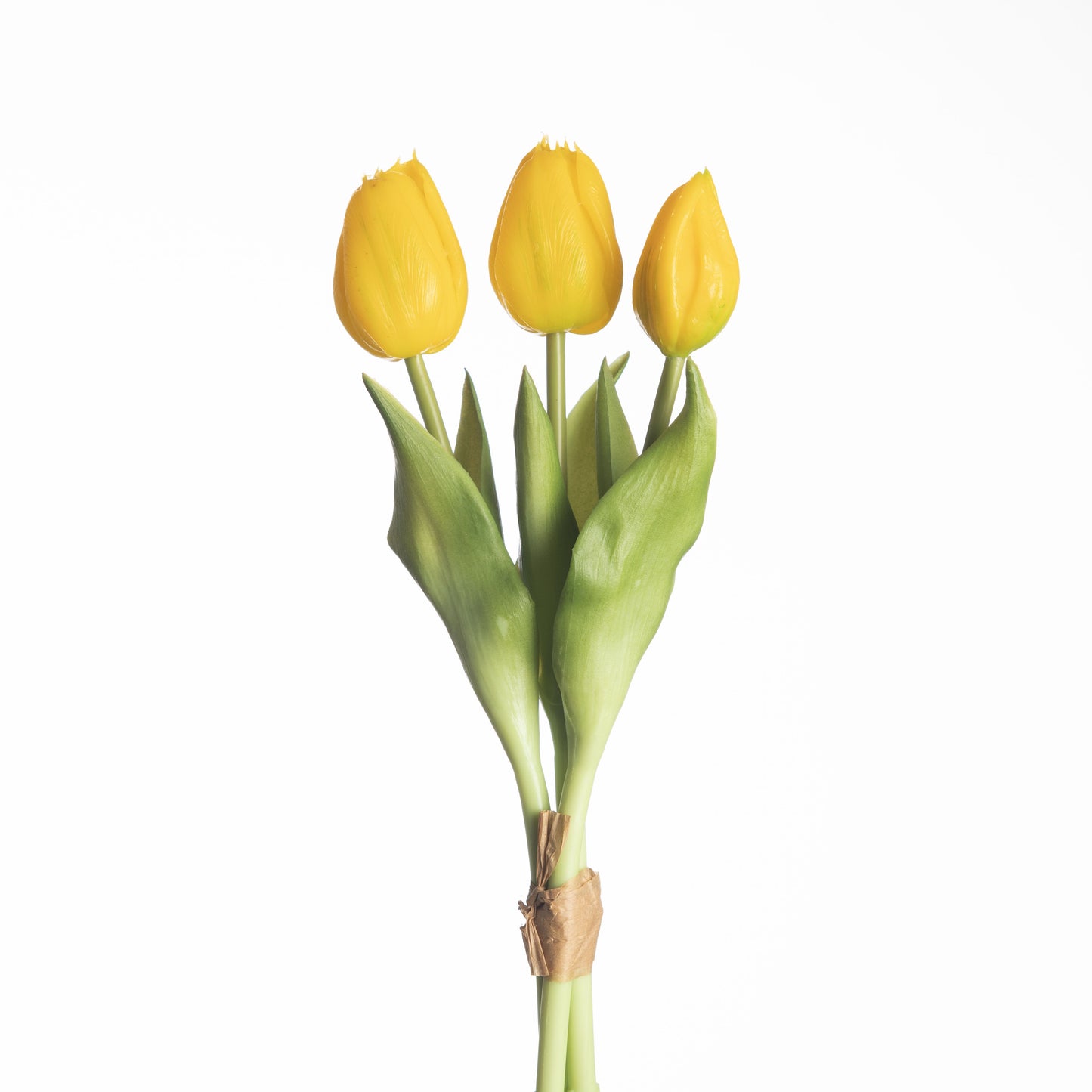 Tulip Bundle x3 L30cm Yellow