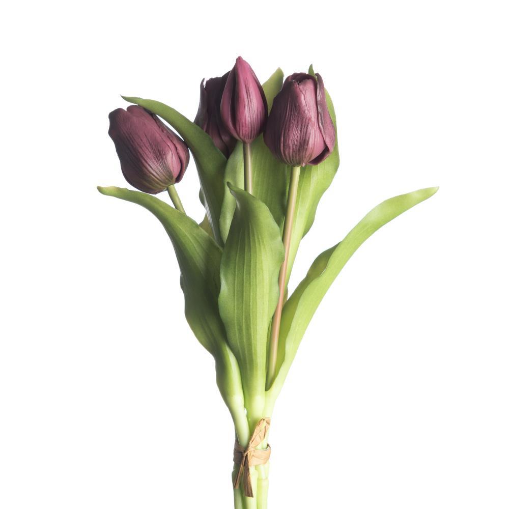 Tulip Bundle x5 L31cm Aubergine