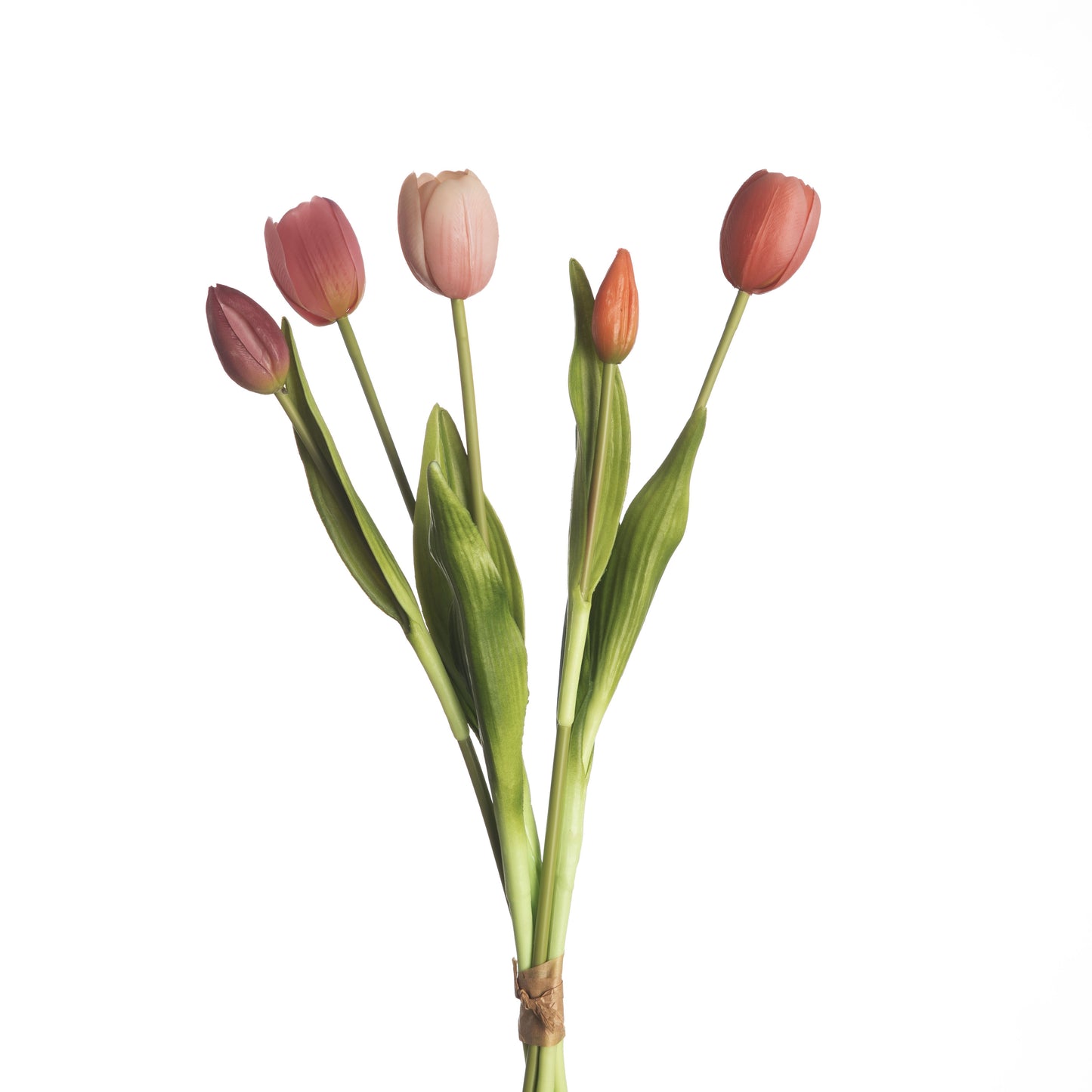 Tulip Bundle x5 L40cm Mix Beauty