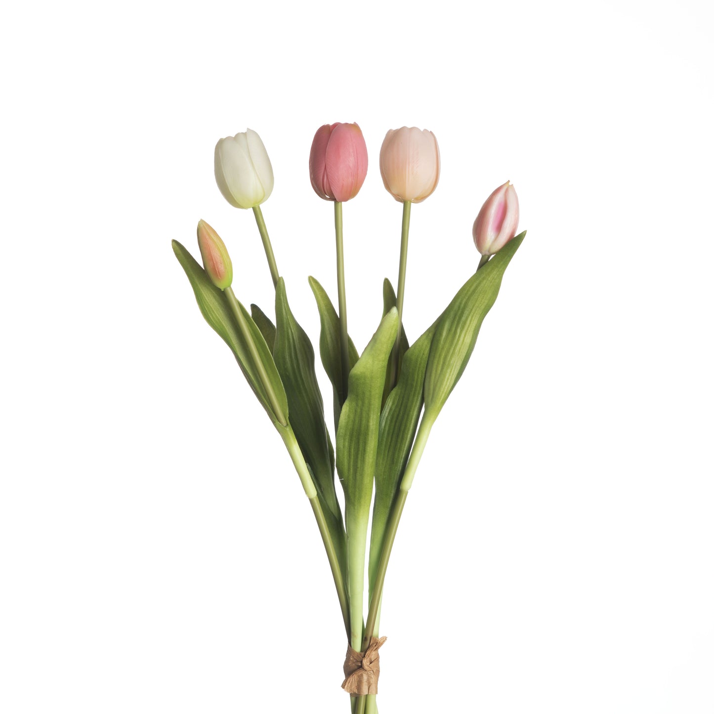 Tulip Bundle x5 L40cm Mix Pink