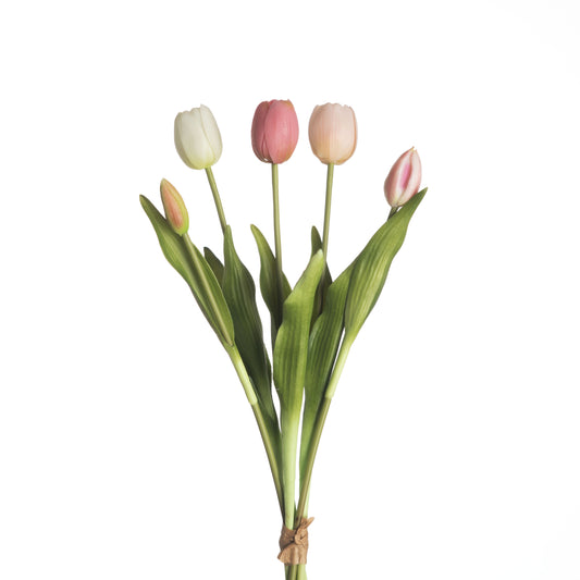 Tulip Bundle x5 L40cm Mix Pink