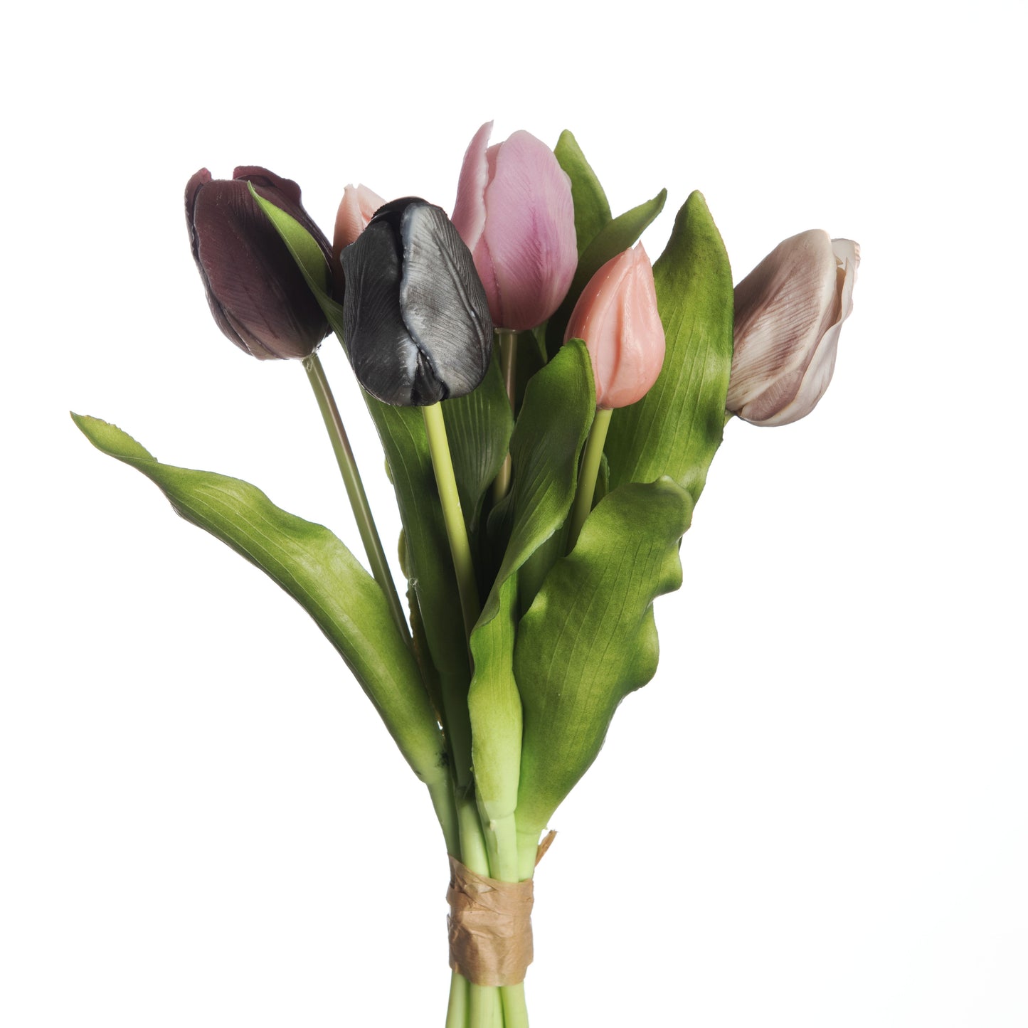 Tulip Bundle x7 L31cm Mix Beauty