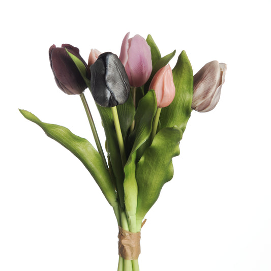 Tulip Bundle x7 L31cm Mix Mauve